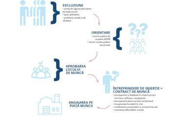 intreprinderile sociale de insertie